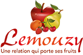 image du partenaire du logo club de tennis de castelsarrasin lemouzy