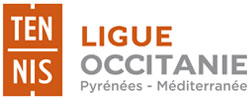 logo-ligue